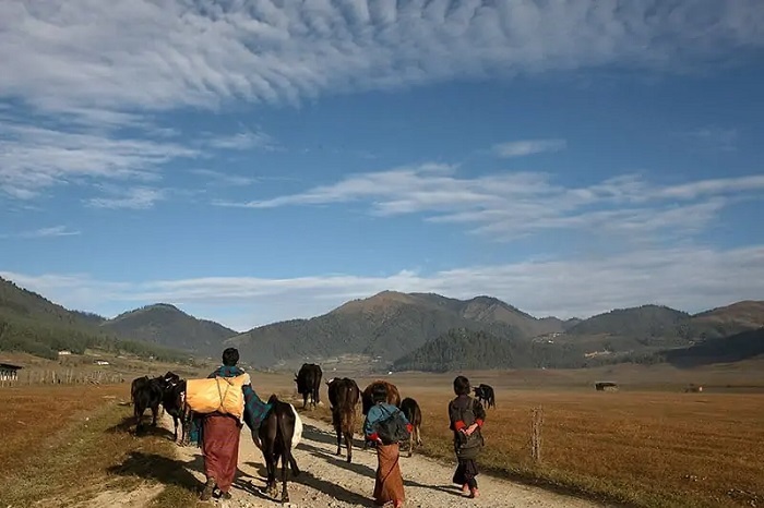 tour du lịch Bhutan mùa xuân