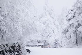 Kinh nghiệm đi tour du lịch Thành Đô - Lạc Sơn - Núi Nga Mi ngắm tuyết trắng phủ ngợp trời